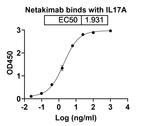 Netakimab Chimeric Recombinant Human Monoclonal Antibody