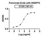 Faricimab Humanized Recombinant Human Monoclonal Antibody
