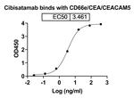CD66e/CD3 (Cibisatamab Biosimilar) Recombinant Human Monoclonal Antibody