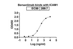 Bersanlimab Recombinant Human Monoclonal Antibody