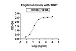 TIGIT (Etigilimab Biosimilar) Recombinant Humanized mouse Monoclonal Antibody