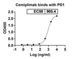 Cemiplimab Recombinant Human Monoclonal Antibody