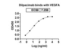 Dilpacimab Humanized Antibody in ELISA (ELISA)