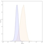 Marstacimab Recombinant Human Monoclonal Antibody