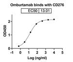 Omburtamab Recombinant Mouse Monoclonal Antibody