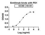Sintilimab Recombinant Human Monoclonal Antibody