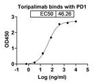 Toripalimab Humanized Recombinant Human Monoclonal Antibody