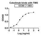 Cobolimab Humanized Recombinant Human Monoclonal Antibody