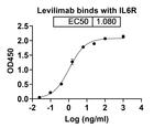 Levilimab Chimeric Recombinant Human Monoclonal Antibody