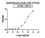 Zalifrelimab Recombinant Human Monoclonal Antibody