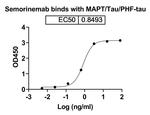 Semorinemab Chimeric Recombinant Human Monoclonal Antibody
