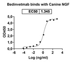 Bedinvetmab Recombinant Canine Monoclonal Antibody