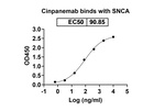 alpha Synuclein (Cinpanemab Biosimilar) Recombinant Humanized mouse Monoclonal Antibody