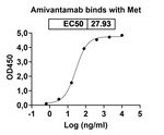 Amivantamab Antibody in ELISA (ELISA)