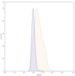 Befovacimab Humanized Recombinant Human Monoclonal Antibody