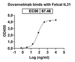 Dovanvetmab Recombinant Feline Monoclonal Antibody
