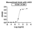 Mavezelimab Humanized Recombinant Human Monoclonal Antibody