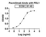 PD-L1 (CD274) (Pacmilimab Biosimilar) Recombinant Human Monoclonal Antibody