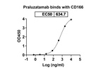 CD166 (ALCAM) (Praluzatamab Biosimilar) Recombinant Humanized mouse Monoclonal Antibody