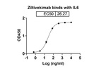 Ziltivekimab Humanized Recombinant Human Monoclonal Antibody