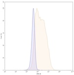 Certolizumab Recombinant Human Monoclonal Antibody