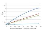 SARS-CoV-2 Spike Protein (RBD) Antibody in ELISA (ELISA)