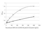 SARS-CoV-2 Spike Protein S2 Antibody in ELISA (ELISA)
