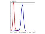 CD3e Antibody in Flow Cytometry (Flow)