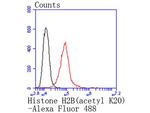H2BK20ac Antibody in Flow Cytometry (Flow)