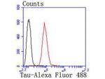 Tau Antibody in Flow Cytometry (Flow)