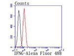 IFN gamma Antibody in Flow Cytometry (Flow)