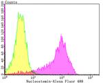 Nucleostemin Antibody in Flow Cytometry (Flow)