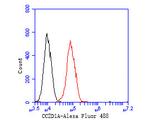 CC2D1A Antibody in Flow Cytometry (Flow)