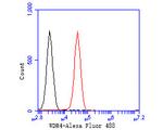 WDR4 Antibody in Flow Cytometry (Flow)