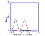 HDGF Antibody in Flow Cytometry (Flow)