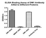 DM1 Monoclonal Antibody (A4G2)