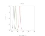 POLR2A Antibody in Flow Cytometry (Flow)