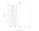 CLIC2 Antibody in Flow Cytometry (Flow)