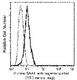 SAA4 Monoclonal Antibody (03)