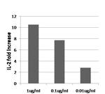 PD-1 Antibody in Neutralization (Neu)