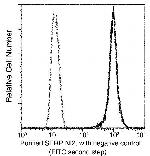 SERPINI2 Recombinant Rabbit Monoclonal Antibody (018)
