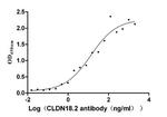 Claudin 18.2 Antibody in ELISA (ELISA)