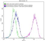 Claudin 18.2 Antibody in Flow Cytometry (Flow)