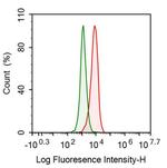 HDAC1 Antibody in Flow Cytometry (Flow)