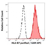 HLA-B7 Monoclonal Antibody (BB7.1)