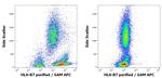 HLA-B7 Antibody in Flow Cytometry (Flow)