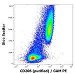 CD206 Antibody in Flow Cytometry (Flow)