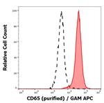 CD65 Monoclonal Antibody (VIM8)