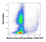 Blood Group A1B Antigen Antibody in Flow Cytometry (Flow)