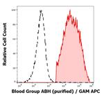 Blood Group ABH Antigen Monoclonal Antibody (HE-10)